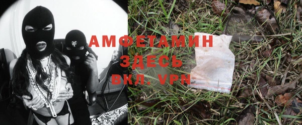 ешки Аркадак
