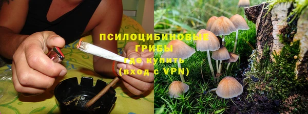 ALPHA-PVP Баксан