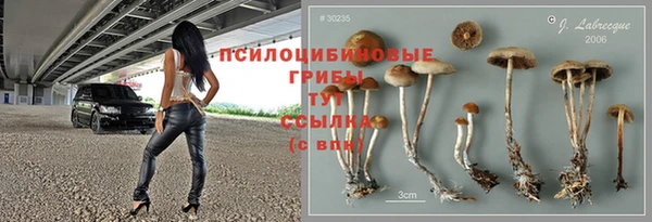 дживик Новокубанск