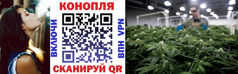 KRAKEN вход  Сокол  Бошки Шишки AK-47 